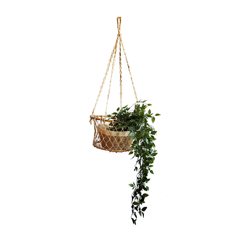 Thumbnail of Jhuri Single Hanging Basket image