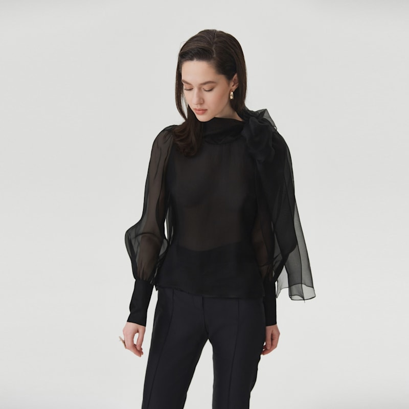 Thumbnail of Sheer Black Organza Blouse image
