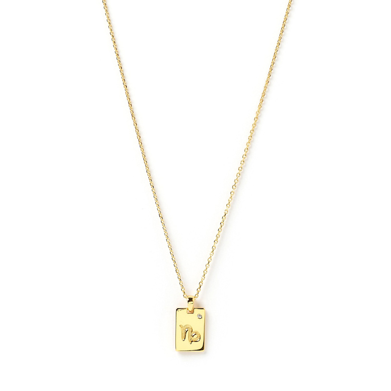 Thumbnail of Capricorn Zodiac Gold Tag Necklace image