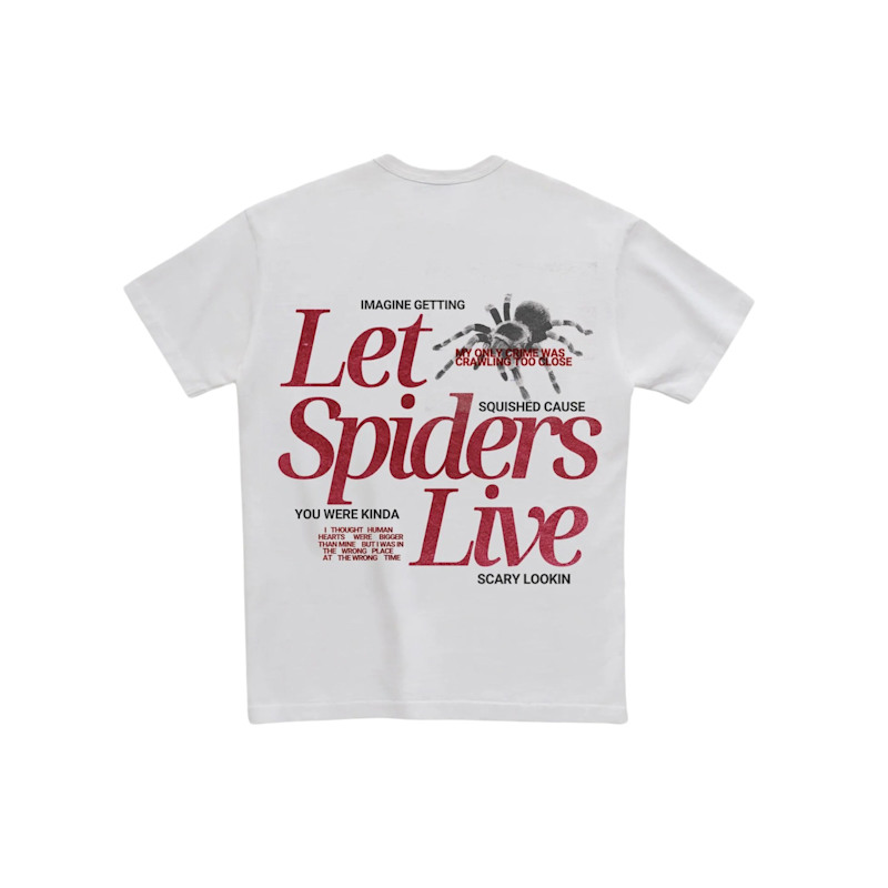 Thumbnail of Let Spiders Live image