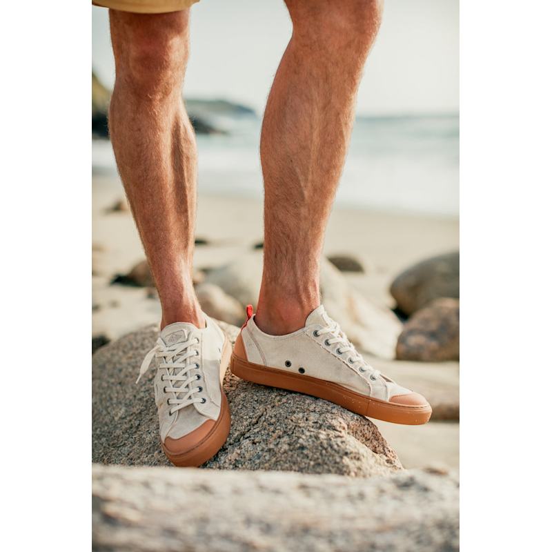 Thumbnail of &Sons Baseline Basketball Low Top image