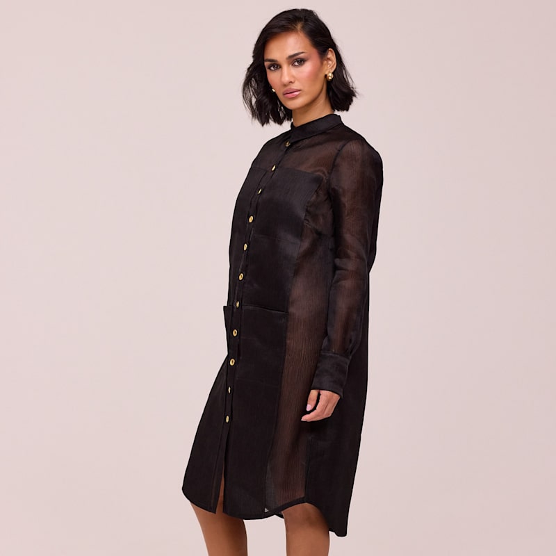 Thumbnail of Lina | The Silk Shirt Dress image