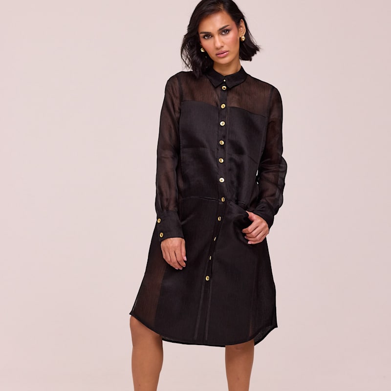 Thumbnail of Lina | The Silk Shirt Dress image