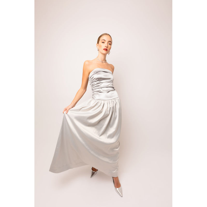 Micha Silver Maxi Satin Drop Waist Dress | AMY LYNN | Wolf