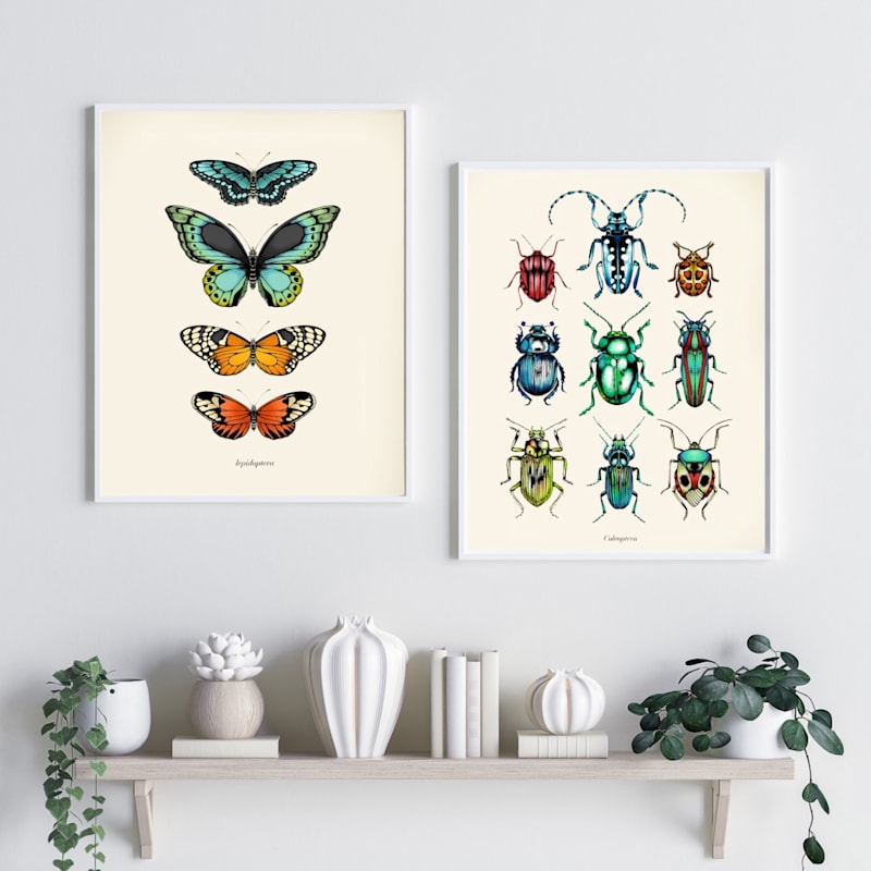 Thumbnail of 'Antique Tropical Beetles' Fine Art Print A5 image