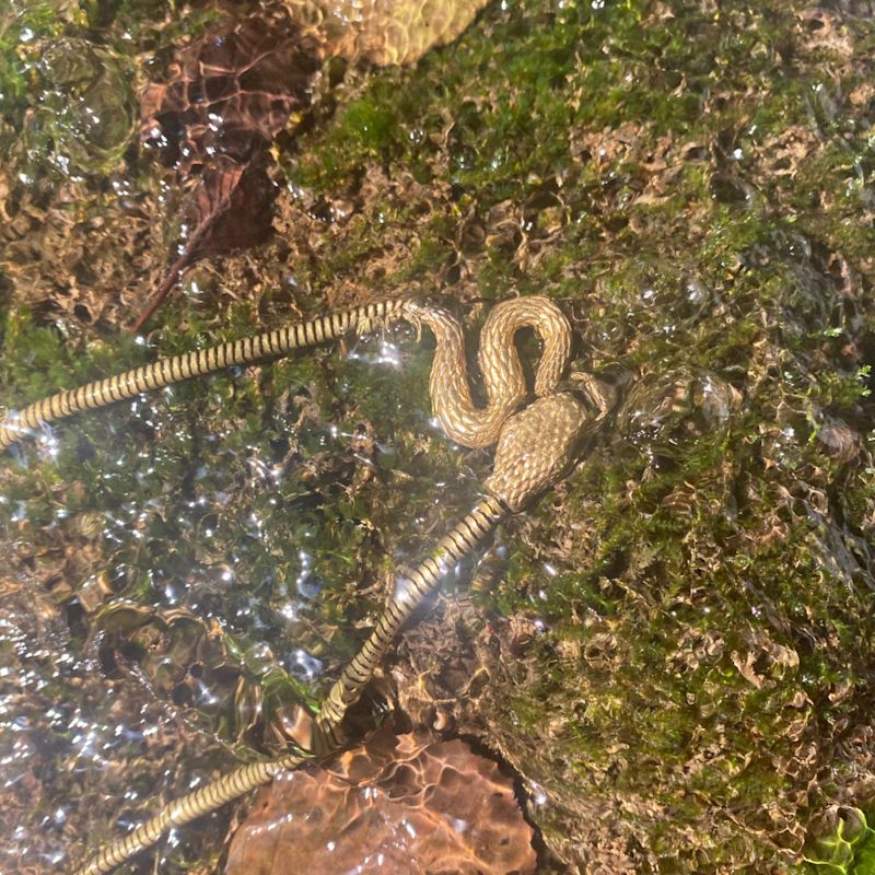 Thumbnail of Naga - Handcrafted Brass Snake Necklace image