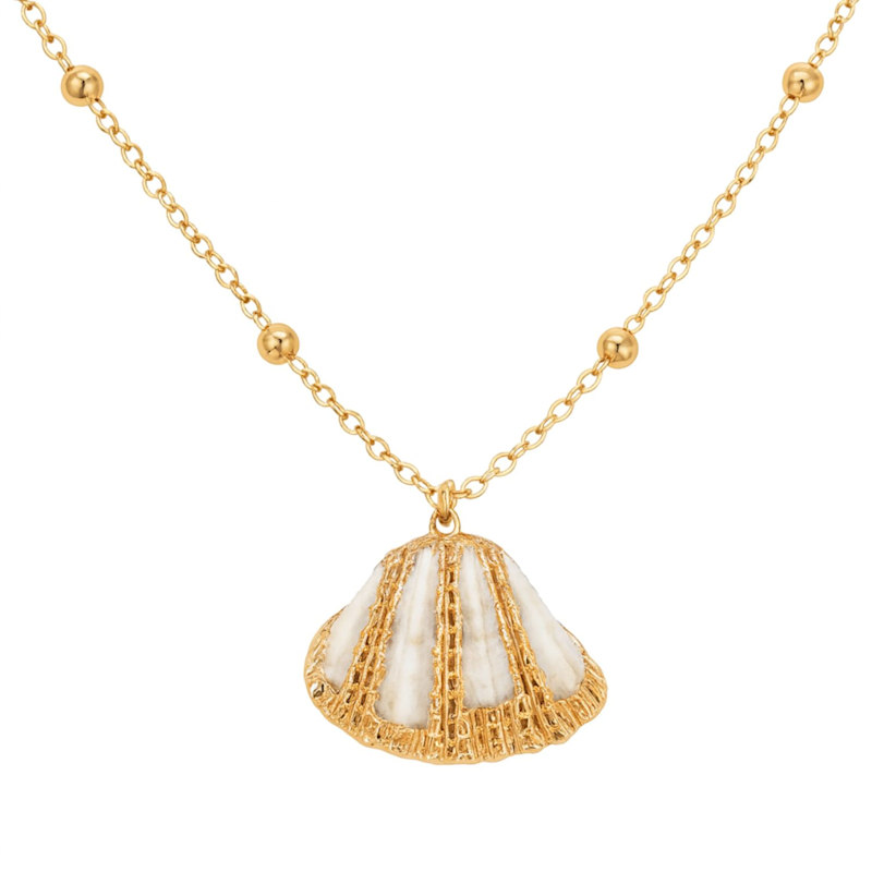 Thumbnail of Natural Seashell Necklace With Gold Plated Chain image