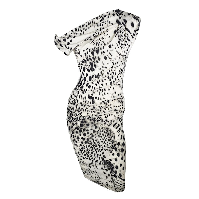 Thumbnail of New Beginnings Leopard Animal Print Dress image