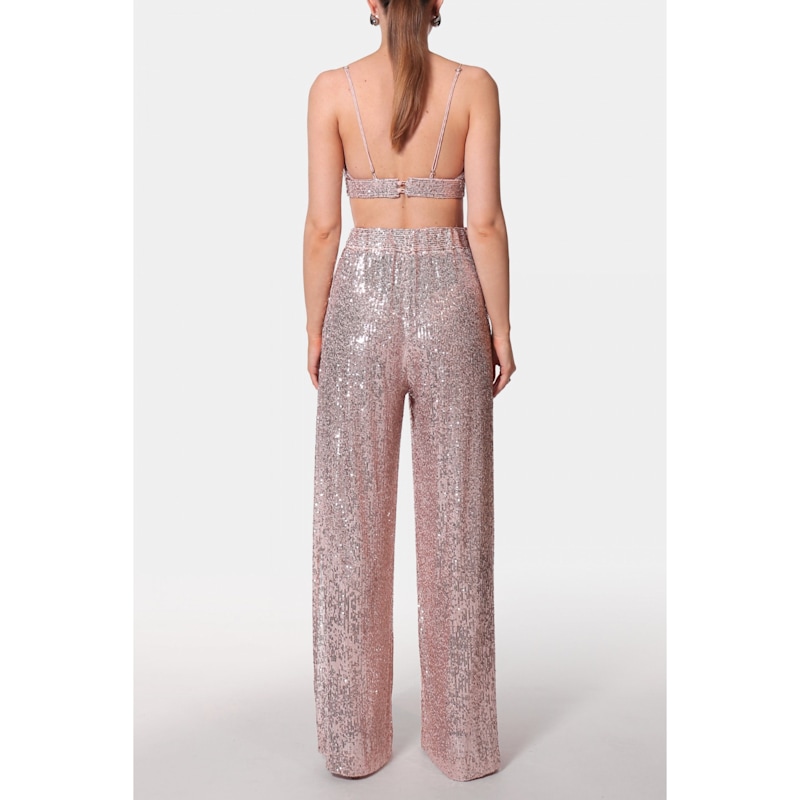 Thumbnail of Asha Dusty Sparkle Sequined Bralette Top image