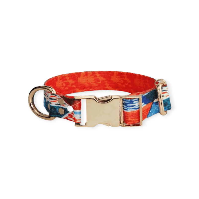 Thumbnail of Orange Dog Collar image