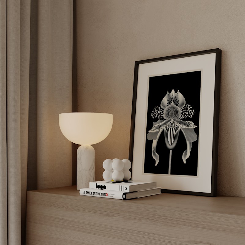 Thumbnail of Orchidia Black S image
