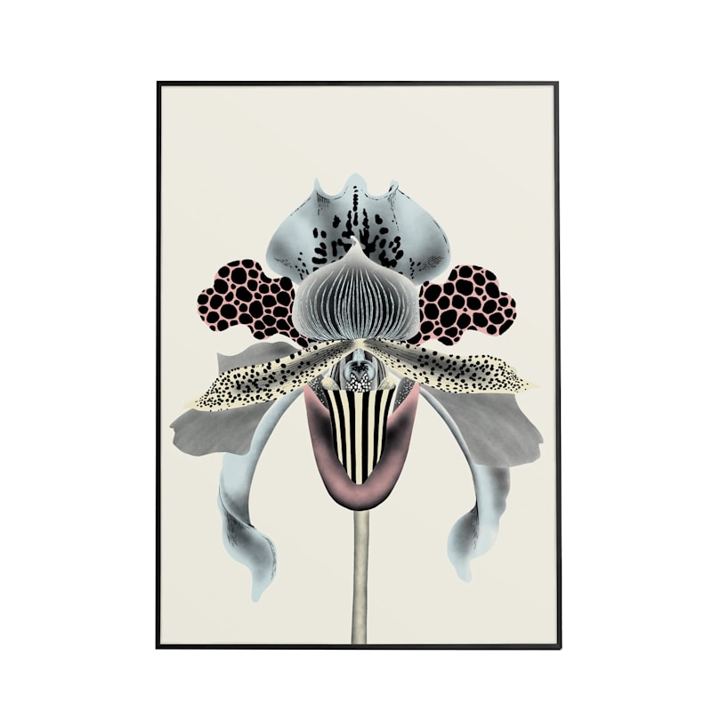 Thumbnail of Orchidia Colour - Art Print L image