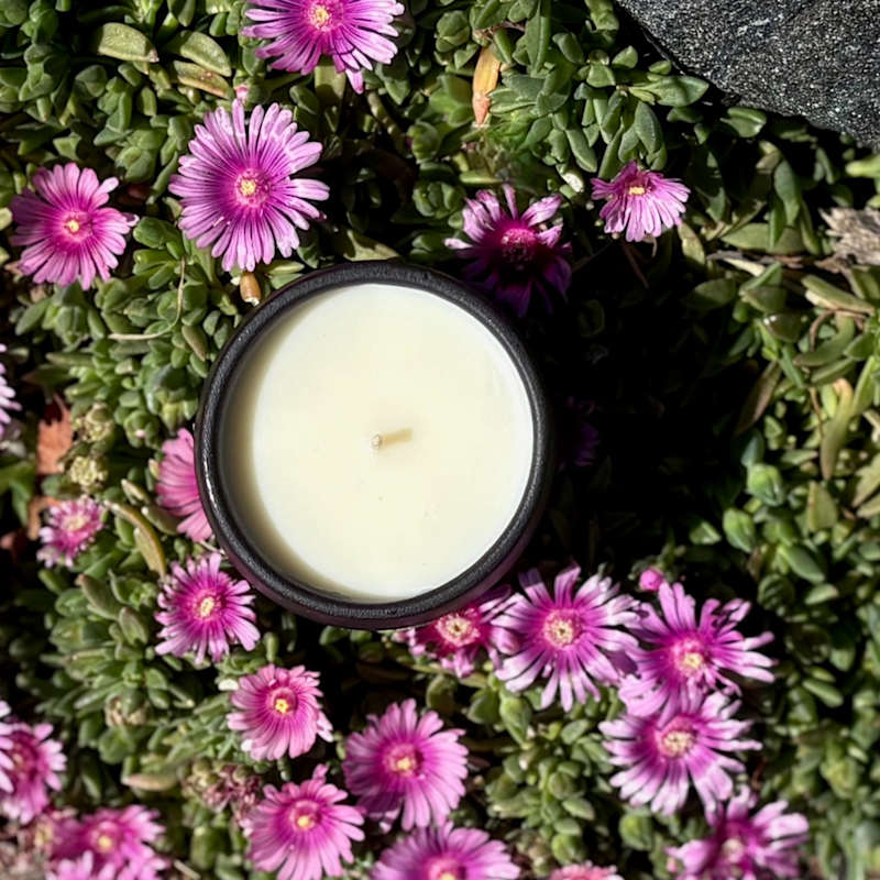 Thumbnail of Organic Lavender Candle In Food-Safe Ceramic | Onyx Petite Pair image