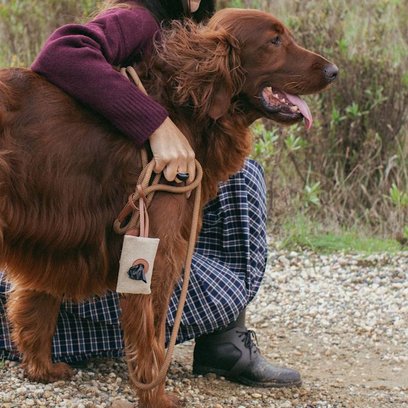 Thumbnail of Canvas Dog Poop Bag Holder Caramel Brown image
