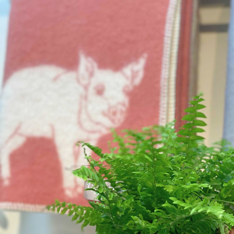 Thumbnail of Piglet Wool Blanket image