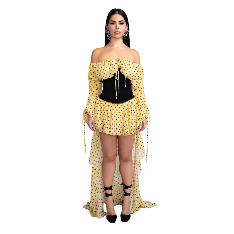 Thumbnail of Polka Dot Corset image