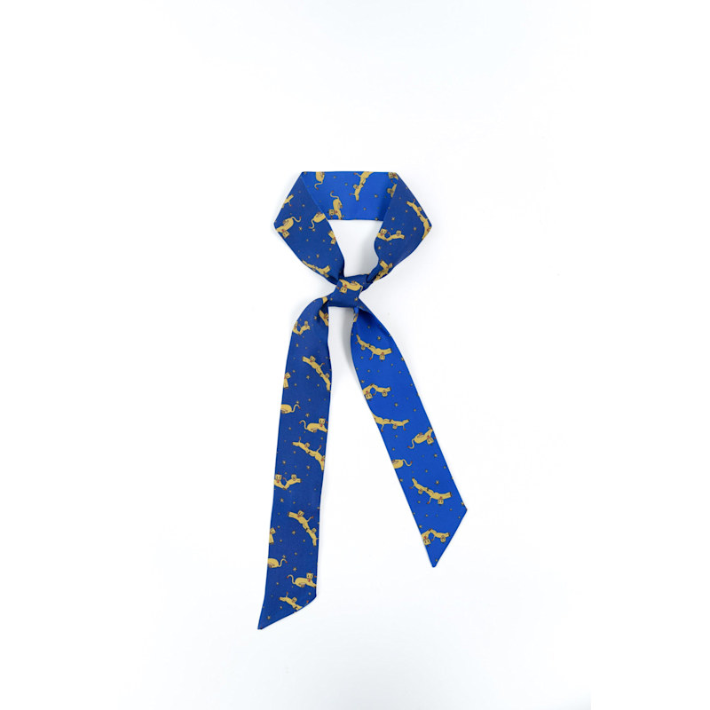 Thumbnail of "Journey" Silk Twilly Scarf By Shantall Lacayo image