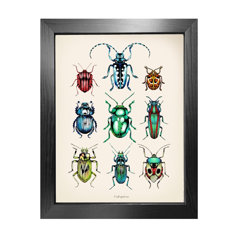 Thumbnail of 'Antique Tropical Beetles' Fine Art Print A5 image