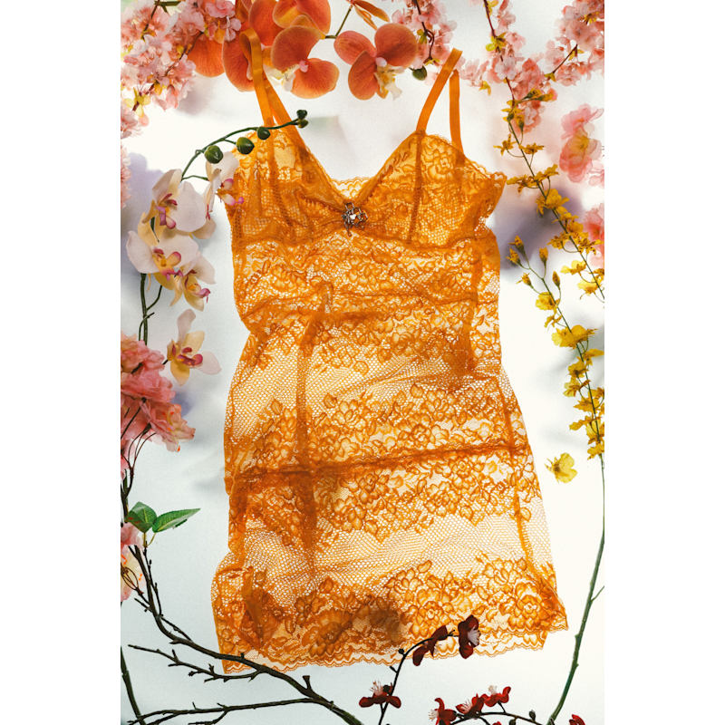 Queen Bee Gold Lace Negligee Slip Dress | Empress Mimi | Wolf & Badger