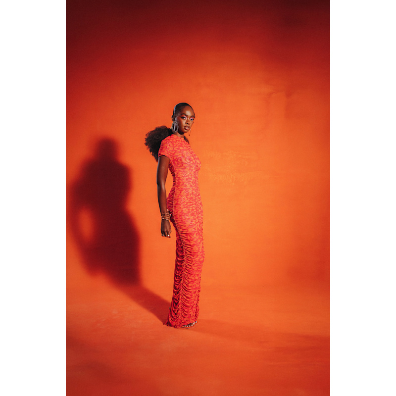 Thumbnail of Raye Ruched Maxi Mesh Dress image