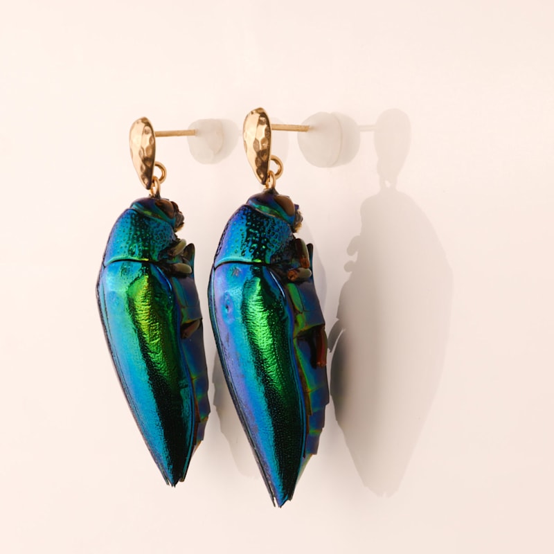 Thumbnail of Real Beetle Scarab Insect Drop Earrings Gold Ear Studs image