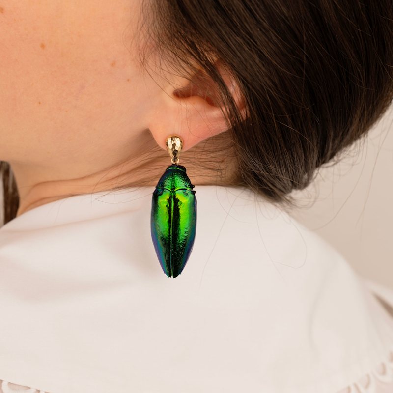 Thumbnail of Real Beetle Scarab Insect Drop Earrings Gold Ear Studs image