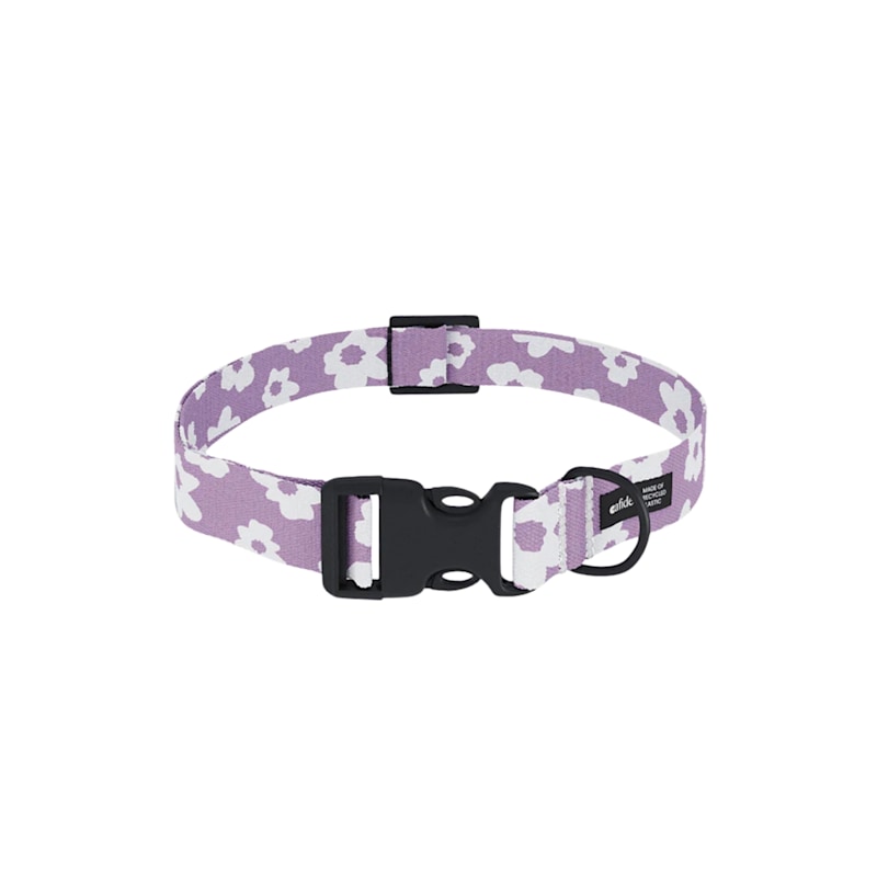 Thumbnail of Recycled Pet Collar Violet Design, Juno image