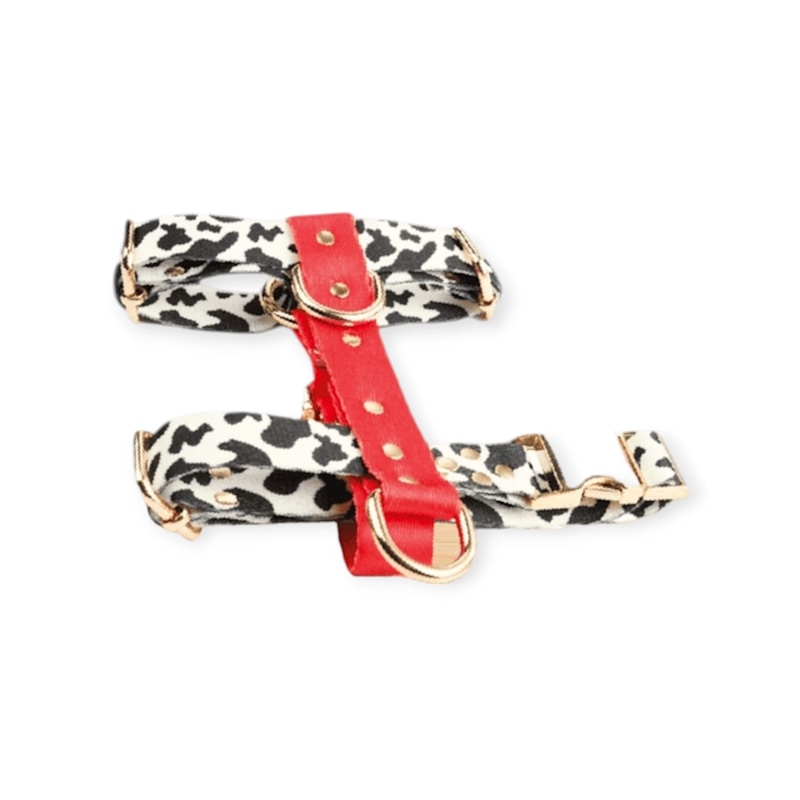 Thumbnail of Red &  White Leo Leopard Print Dog Harness image