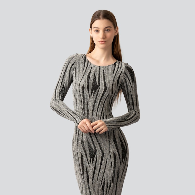Thumbnail of Regality Silver & Black Party Dress image