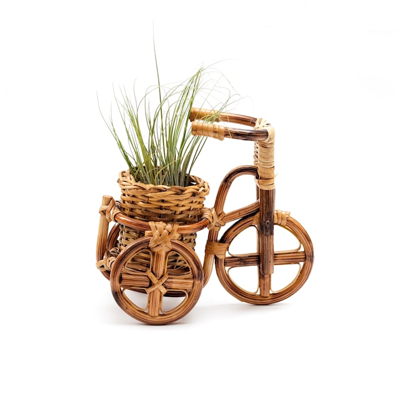 Thumbnail of Rattan Bike Planter Medium image