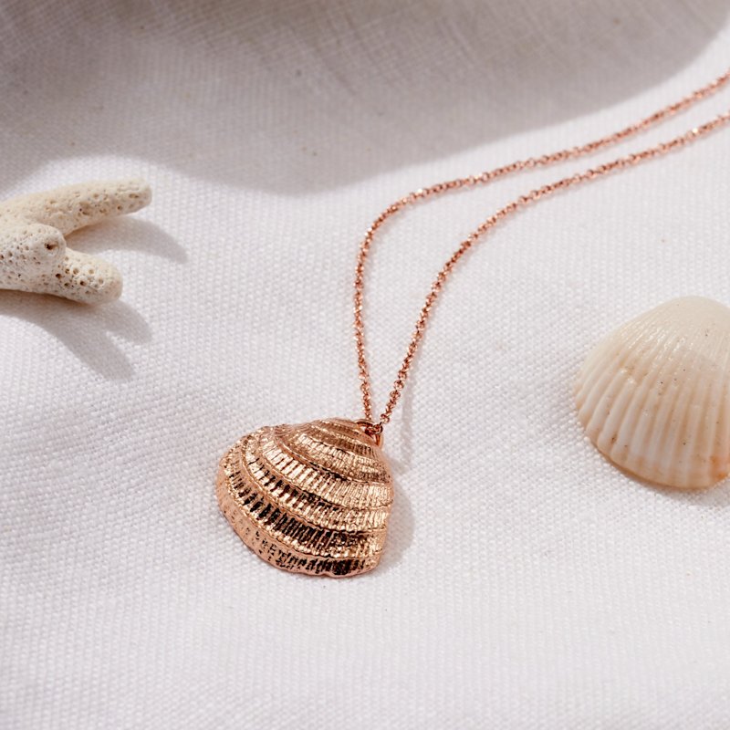 Thumbnail of Rose Gold Plated Clam Shell Necklace image