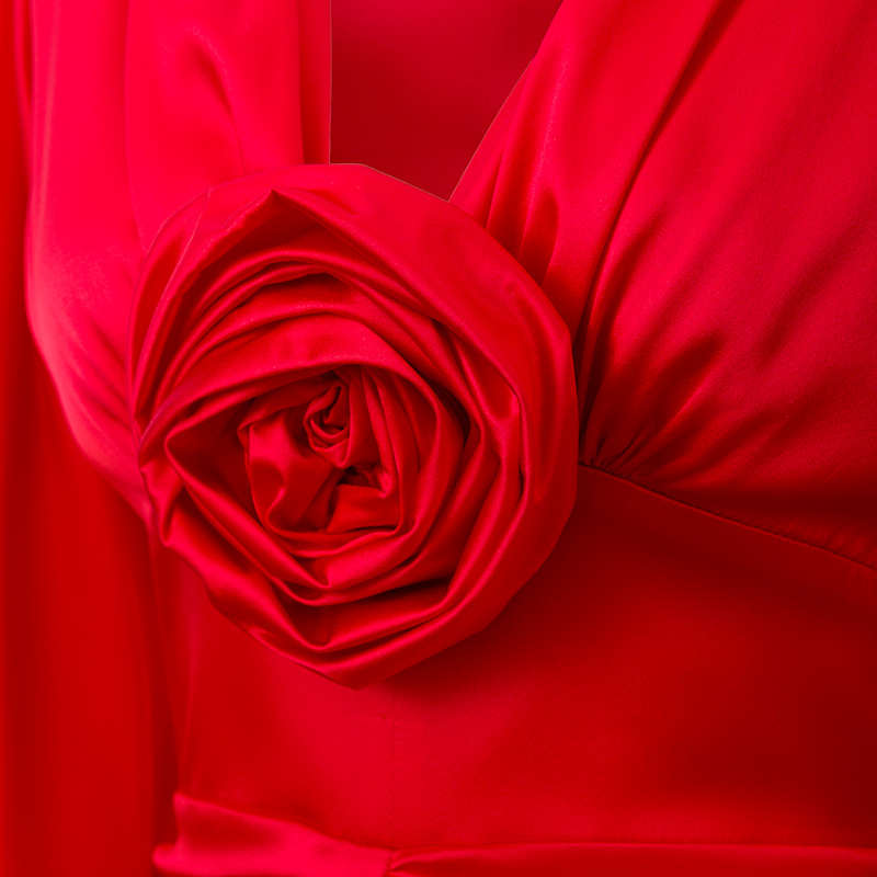 Ruched Floral-Appliqu Red Dress | LITA COUTURE | Wolf & Badger