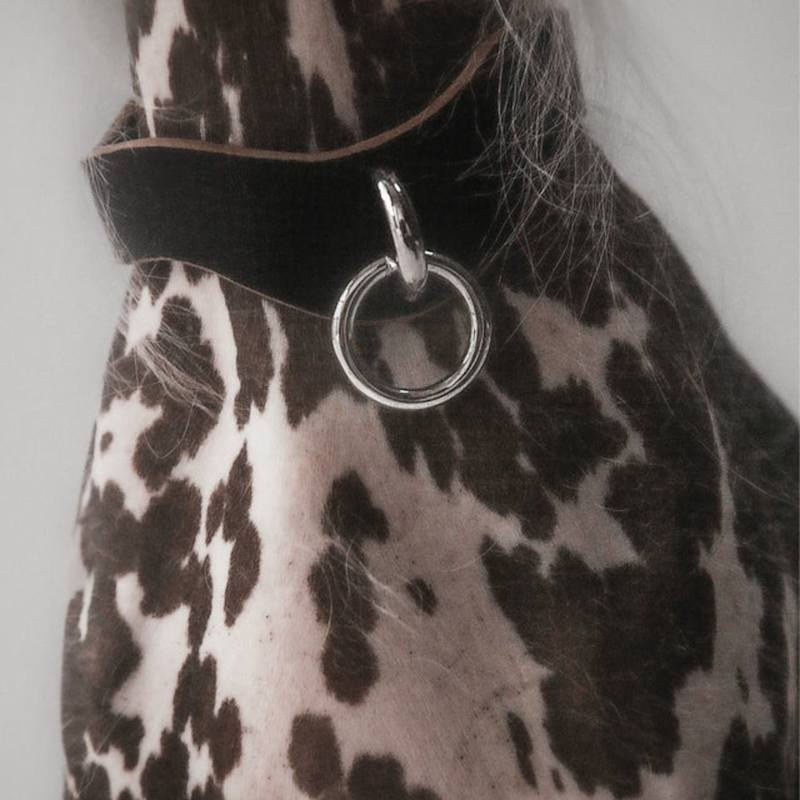 Thumbnail of S & M Collar image