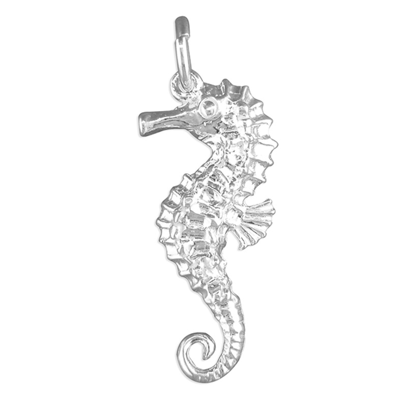 Thumbnail of Sea Horse Charm On Silver Chain image