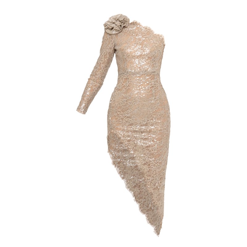 Sequin-Detail Lace Midi Dress | Nissa | Wolf & Badger