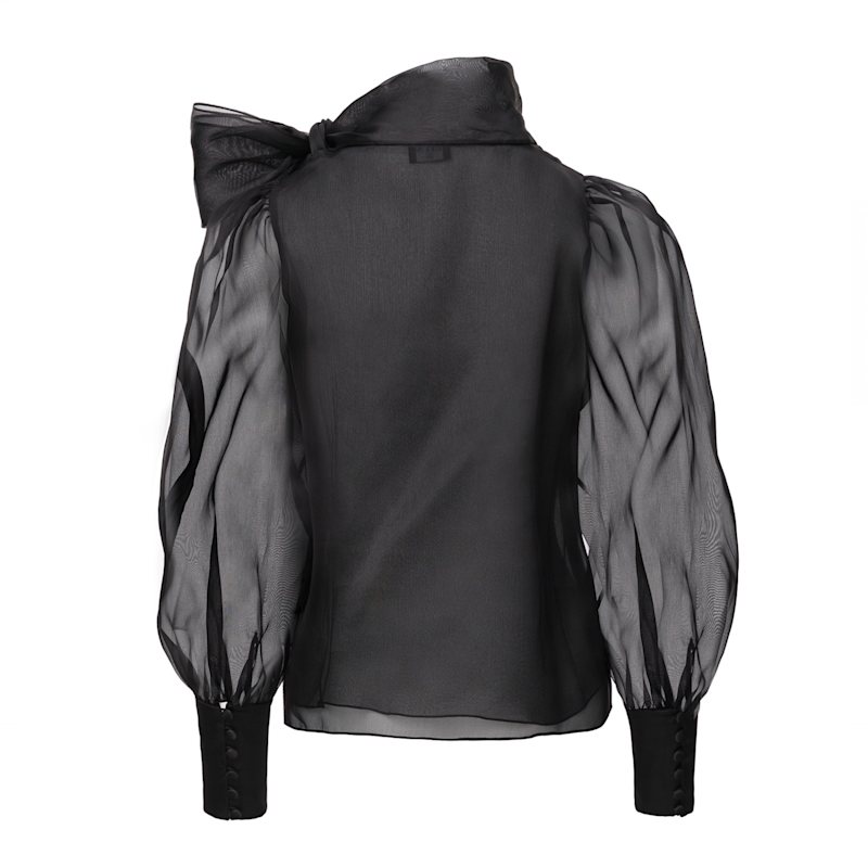 Thumbnail of Sheer Black Organza Blouse image