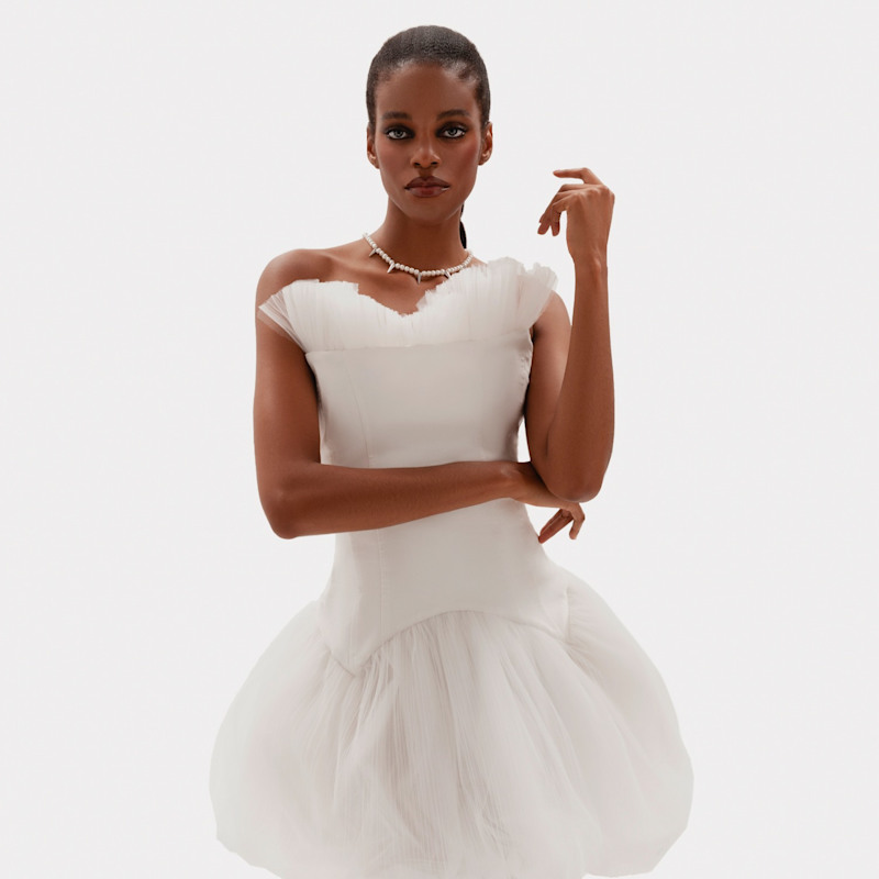 Thumbnail of Swan Lake Dress image