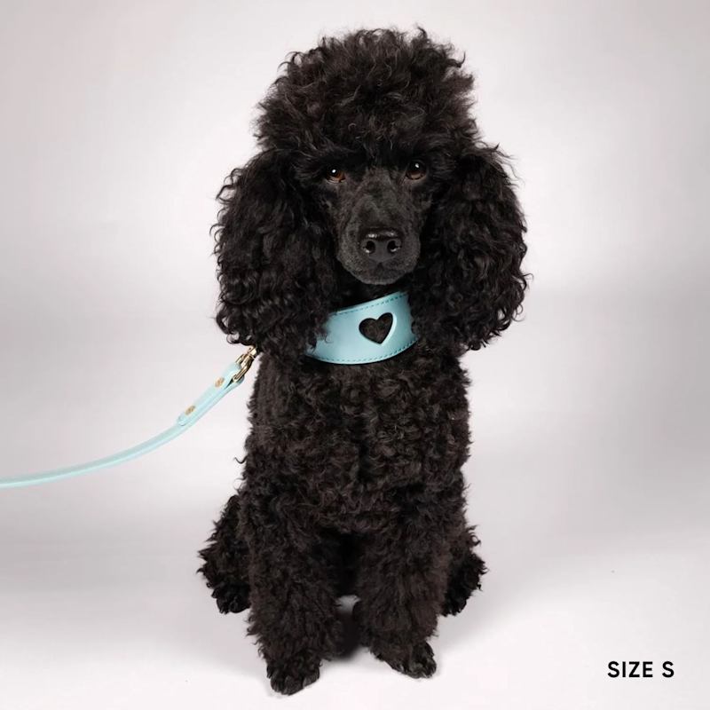 Thumbnail of Sweetheart Dog Collar - Aqua image