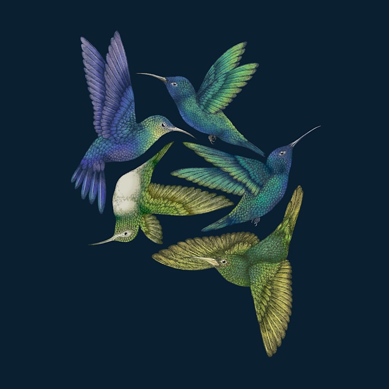 Thumbnail of Antique Hummingbirds I Indigo Fine Art Print L image