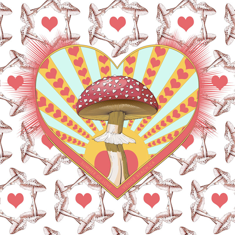 Thumbnail of Venice Beach Vintage Kimono image