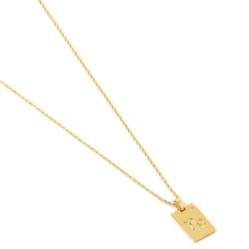 Thumbnail of Capricorn Zodiac Gold Tag Necklace image