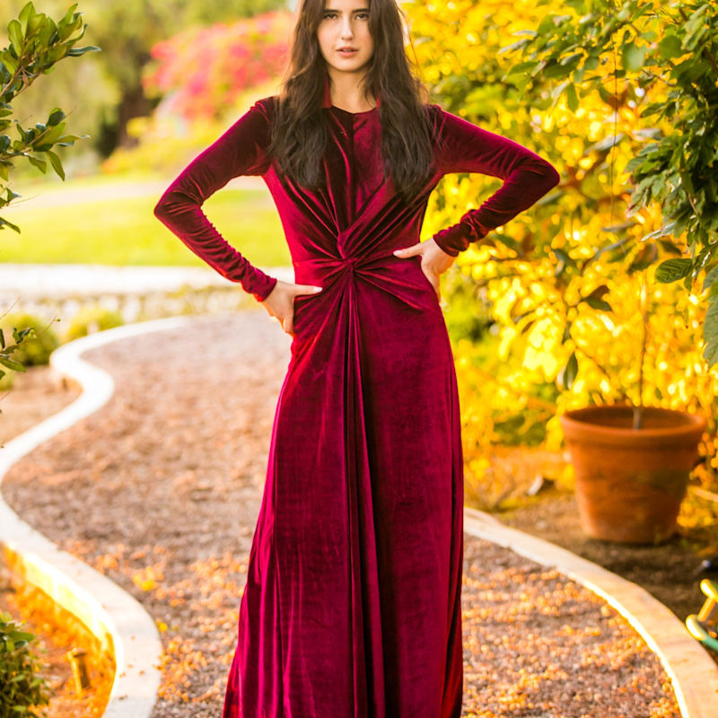 oxblood formal dress Wilshire Dress – NIA main image 1