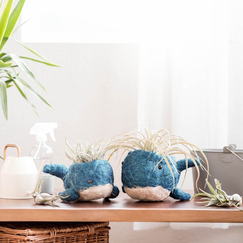 Thumbnail of Baby Whale Coco Coir Planter - Sustainable Home Accent image