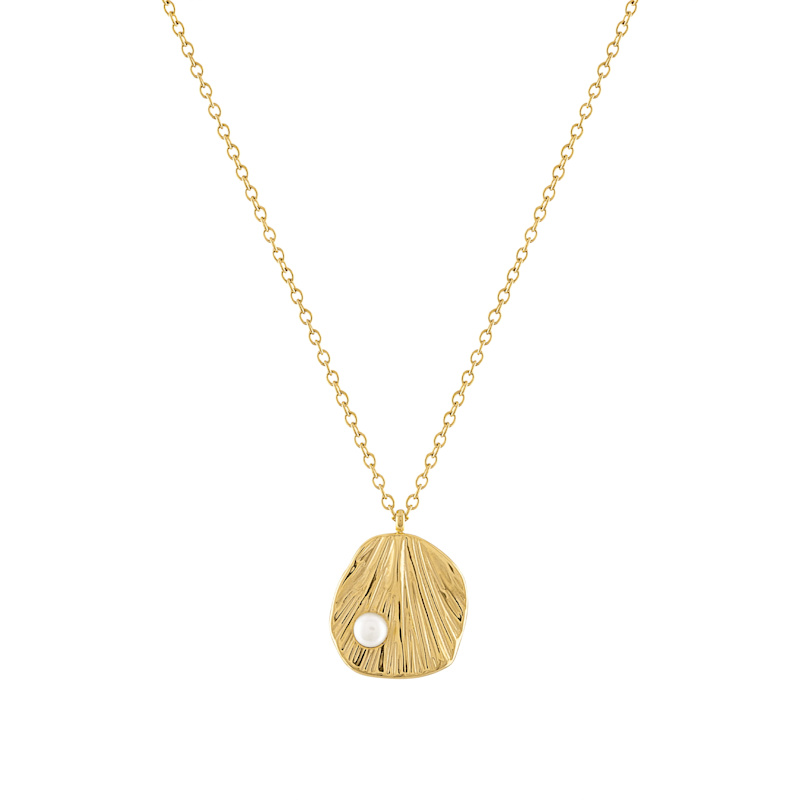 Thumbnail of Shelly Seashell Necklace image