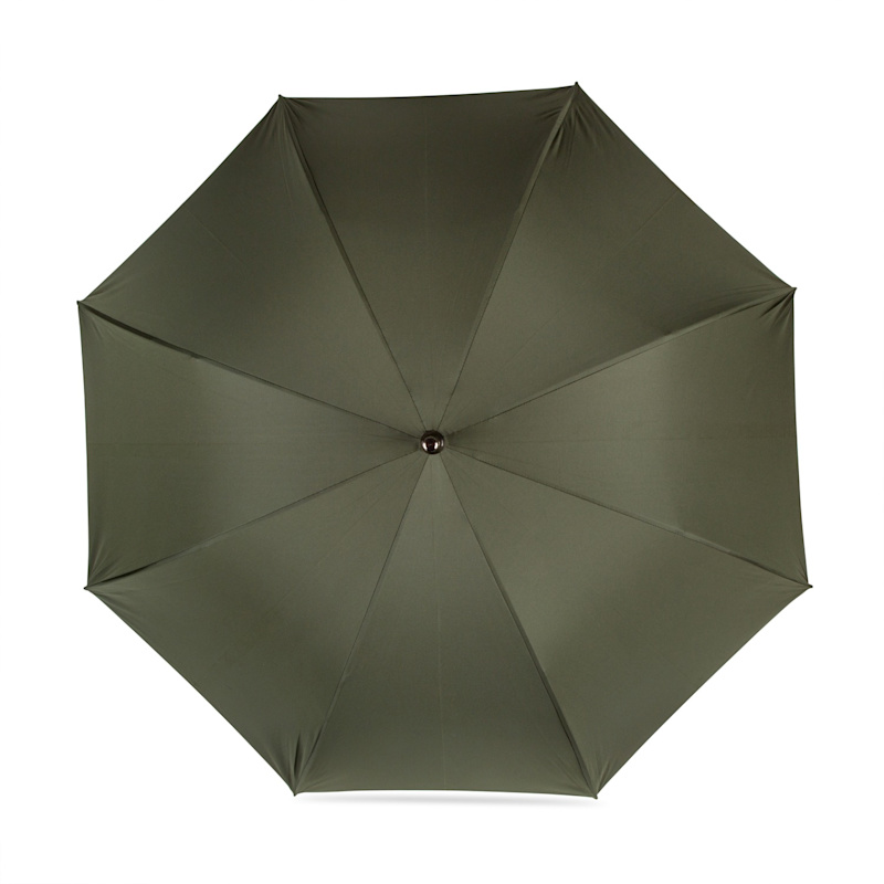 Thumbnail of British Umbrella Beech & Maple - Green image