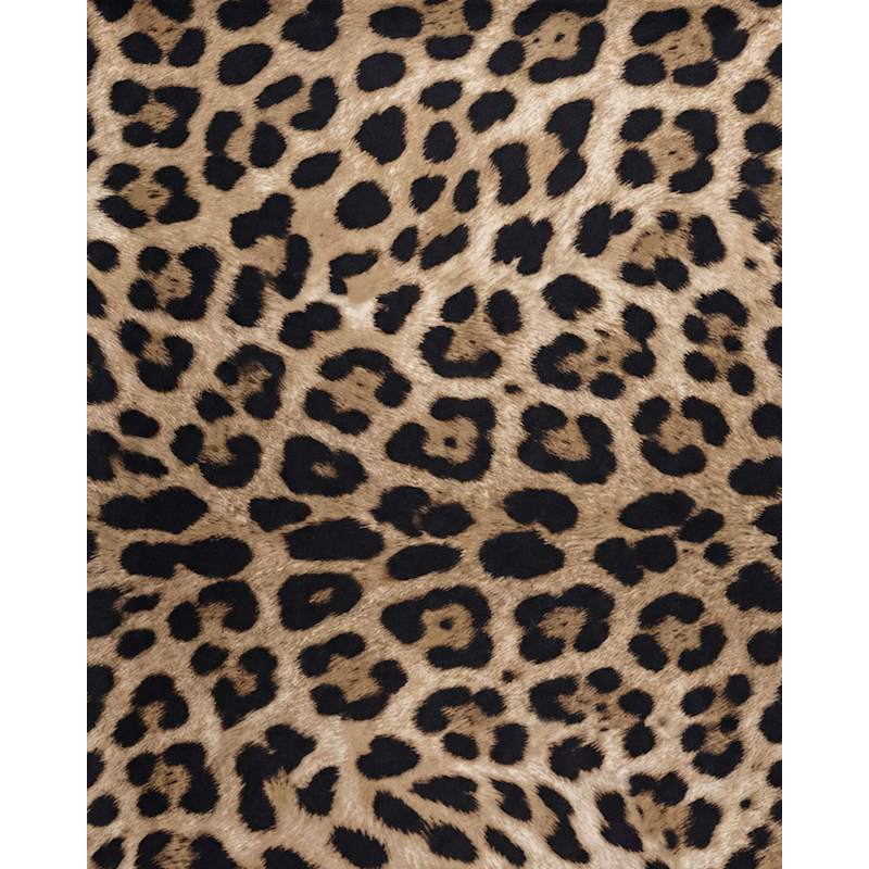 Thumbnail of Samara Leopard Brown Womens Bikini Bottom image