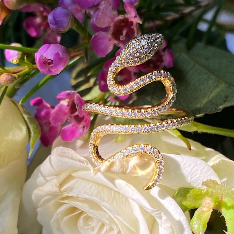 Thumbnail of Enchanted Snake Ring image