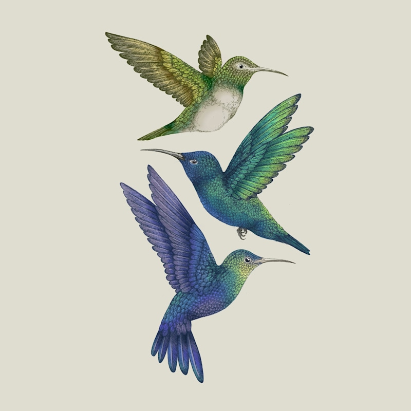Thumbnail of Antique Hummingbirds Ii Cream - Fine Art Print S image