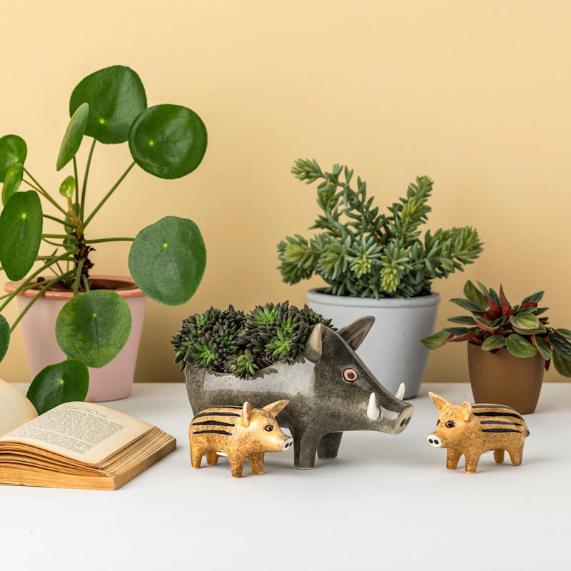 Thumbnail of Wild Boar Planter image