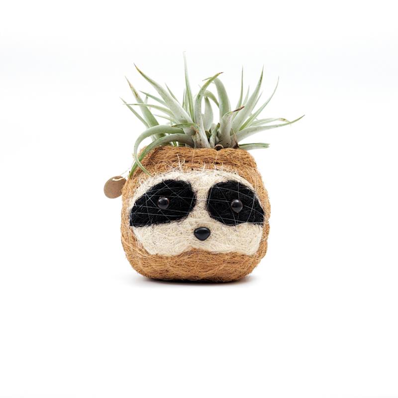Thumbnail of Coco Coir Animal Planter Mini Pot 3-Tone Sloth Dark image